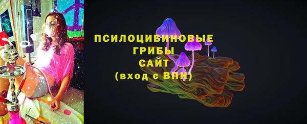 PSILOCYBIN Покровск
