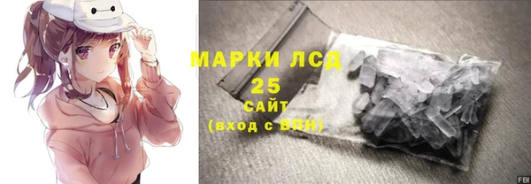 прущие грибы Пестово