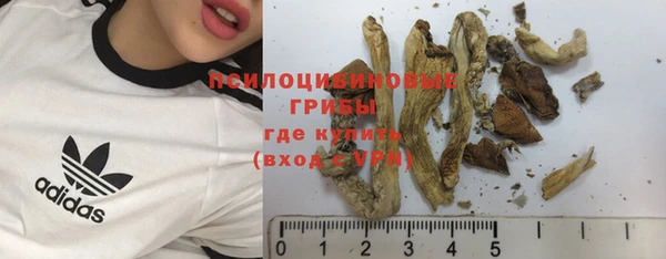 стаф Покров
