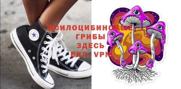 стафф Покачи