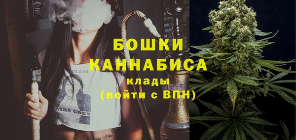 крисы Переславль-Залесский
