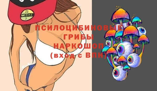 стафф Покачи